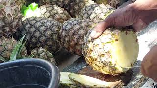 Amazing ! best way to cut Pineapple