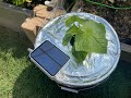 Using Solar Power to Grow Cucumbers in Hydroponic - It Really Works!!!