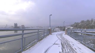 Schnee am Donauradweg / Baum vom Bieber gefällt