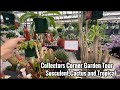 Collectors Corner Tour, lots of Succulent,Cactus and Tropical Plants