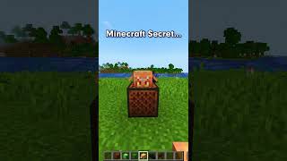 Minecraft Secret Feature! 😱 #shorts