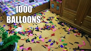 NTN - Thử Đâm Nổ 1000 Quả Bóng Bay (Try Exploding 1000 Balloons)