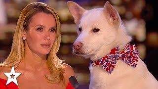 Refuge Dog Has Judges in Tears!! | Britain's Got Talent 2020 | Got Talent Global