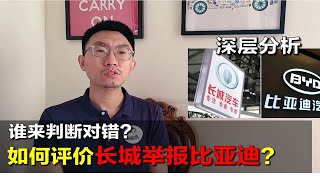 【大鹏说车】明争暗斗！我来聊一聊，长城举报比亚迪事件