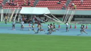 H28　関東中学校陸上競技大会　男子3000m　決勝残り2周