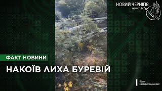 Негода на Чернігівщині: як ліквідовували наслідки циклону