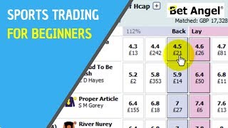 Betfair trading - Sports Trading for Beginners