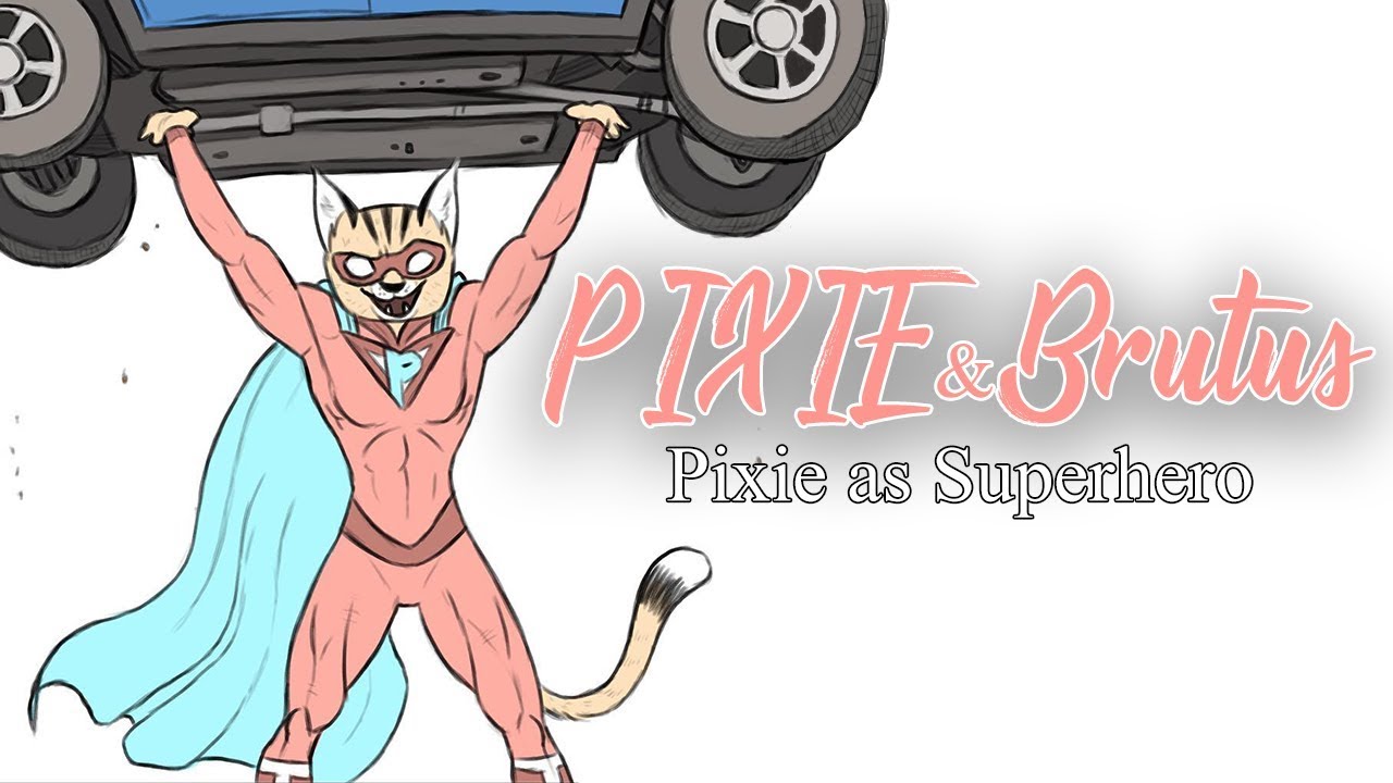 Superhero Pixie Pixie And Brutus Comic Dub Youtube