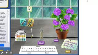 Hydrangea virtual pH Lab