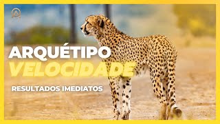 ⚡️ Arquétipo da velocidade e foco | Ativação imediata | Arquetipando