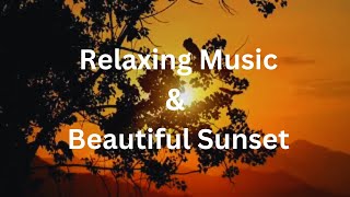 ASMR 20 Minute Instant CALMING MUSIC, Relaxing Music & beautiful sunset| Calm Music |Headache Relief
