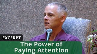 The Power of Paying Attention (Excerpt)