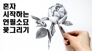 초보자를 위한 꽃 그리기 연필소묘 / 기초소묘, 연필드로잉, Basic pencil drawing
