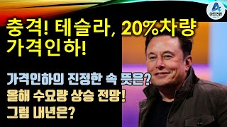 충격! 테슬라, 20%차량 가격인하! / 가격인하의 진정한 속 뜻은? / 올해 수요량 상승 전망! 그럼 내년은?