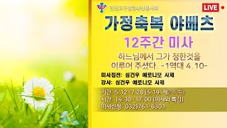 가정축복 야베츠 12주간미사 제 2주차 미사강의 심건우 예로니모사제(14:30)