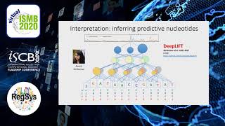 Base-resolution predictive models of genomic... - Amr Alexandari - RegSys - ISMB 2020 Posters