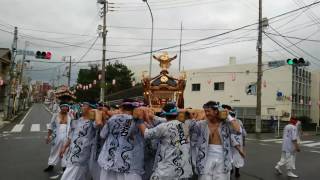 2016 勝浦大漁祭り 墨名区 信号