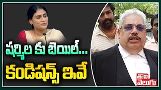 షర్మిల కు బెయిల్.. కండిషన్స్ ఇవే | Nampally Court Grants Bail to YS Sharmila | Tolivelugu TV