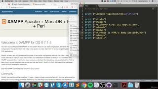 47- Easy Python Programming Basic CGI Programming