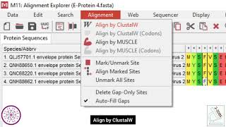 How perform alignment & phylogenetic analysis in MEGA | Biological Sciences | Superior University