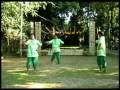 Philippine Folk Dances - Track 05 - Binasuan