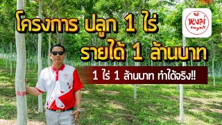 โครงการ ปลูก 1 ไร่ รายได้ 1 ล้านบาท ทำได้จริง !!