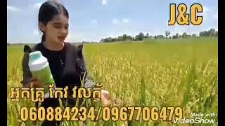 ជីសរីរាង្គគុណភាពខ្ពស់ 100%