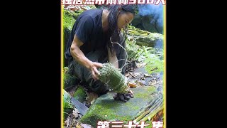 第三十七集丨荒野求生，针对性的设置陷阱，狩猎雨林原鸡和毒蛇