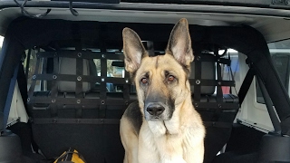 Jeep Wrangler JK Dog and cargo net install