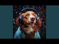 Celestial Dog Resonance