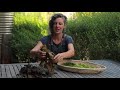 how to forage seaweed and make a delicious seasoning hands on with milkwood permaculture