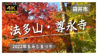 【静岡県の紅葉】もみじまつり・法多山尊永寺（4K60P Vlog風）穴場