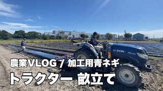 【農業】青ネギ 栽培 トラクター 畝立て マルチ張り