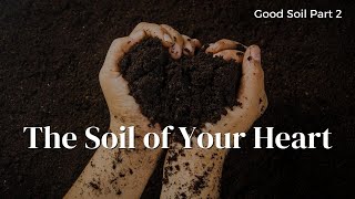 How is Your Heart? | Good Soil Part 2 | Alicia Bright
