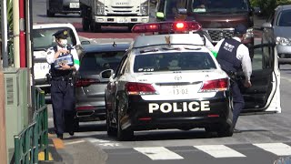 常識を超越したアウディの動きに対して警察官とパトカーの見事な連携で直ちに対応の瞬間!