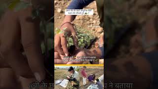 आधुनिक खेती बच्चों की सिखाए #farming #viralvideo #agriculture #farmerlife #farmer#ayodhya