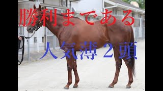 スプリンターズステークス 2021 穴馬予想２週連続無料穴馬好走！！アタマまでありえる穴馬と超人気薄穴馬候補 人気上位３頭の死角