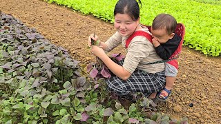 Ly Tieu Dua and son work hard to earn money to prepare for Christmas.