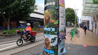 WALKING TOUR: Christchurch City 2025, New Zealand