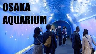 OSAKA AQUARIUM KAIYUKAN AND DOTONBORI - Japan Trip 2019 Day 7