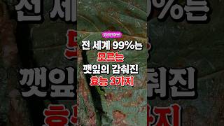 전 세계 99%가 몰랐던 깻잎의 감춰진 효능3가지