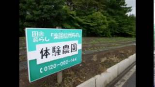 国内移住、八ヶ岳別荘暮らし、茅野市田舎暮らし楽園信州ちの 体験農園 野菜の様子