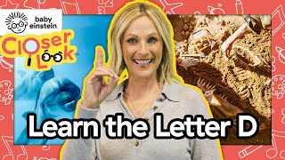 NEW! Closer Look: The Letter D 🔍 | Learning Letters With Marlee Matlin ⭐️ | Baby Einstein | Alphabet