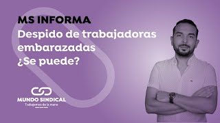 MS Informa #174: Despido de trabajadoras embarazadas ¿Se puede? 🤰