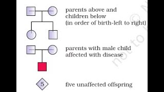 KR Zoology Chapter 3