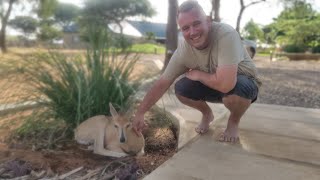 Bazi+Fischkopp overlanding southern Africa - zurück nach Namibia! Wir streicheln ein Dikdik!!!