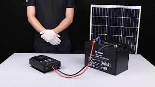 2024 Review Renogy 100 Watts 12 Volts Monocrystalline Solar Starter Kit