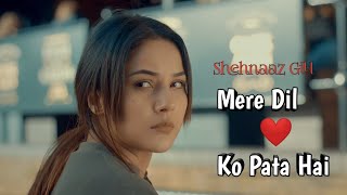 Mere Dil Ko Pata Hai (Official Video) Shehnaaz Gill | Sidharth Shukla | SIDNAAZ Song | Tu Yaheen Hai