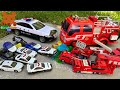 Police Car VS Fire Truck! Let's Find Diecast Cars 【Kuma's Bear Kids】