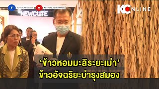 ‘ข้าวหอมมะลิระยะเม่า’ ข้าวอัจฉริยะบำรุงสมอง